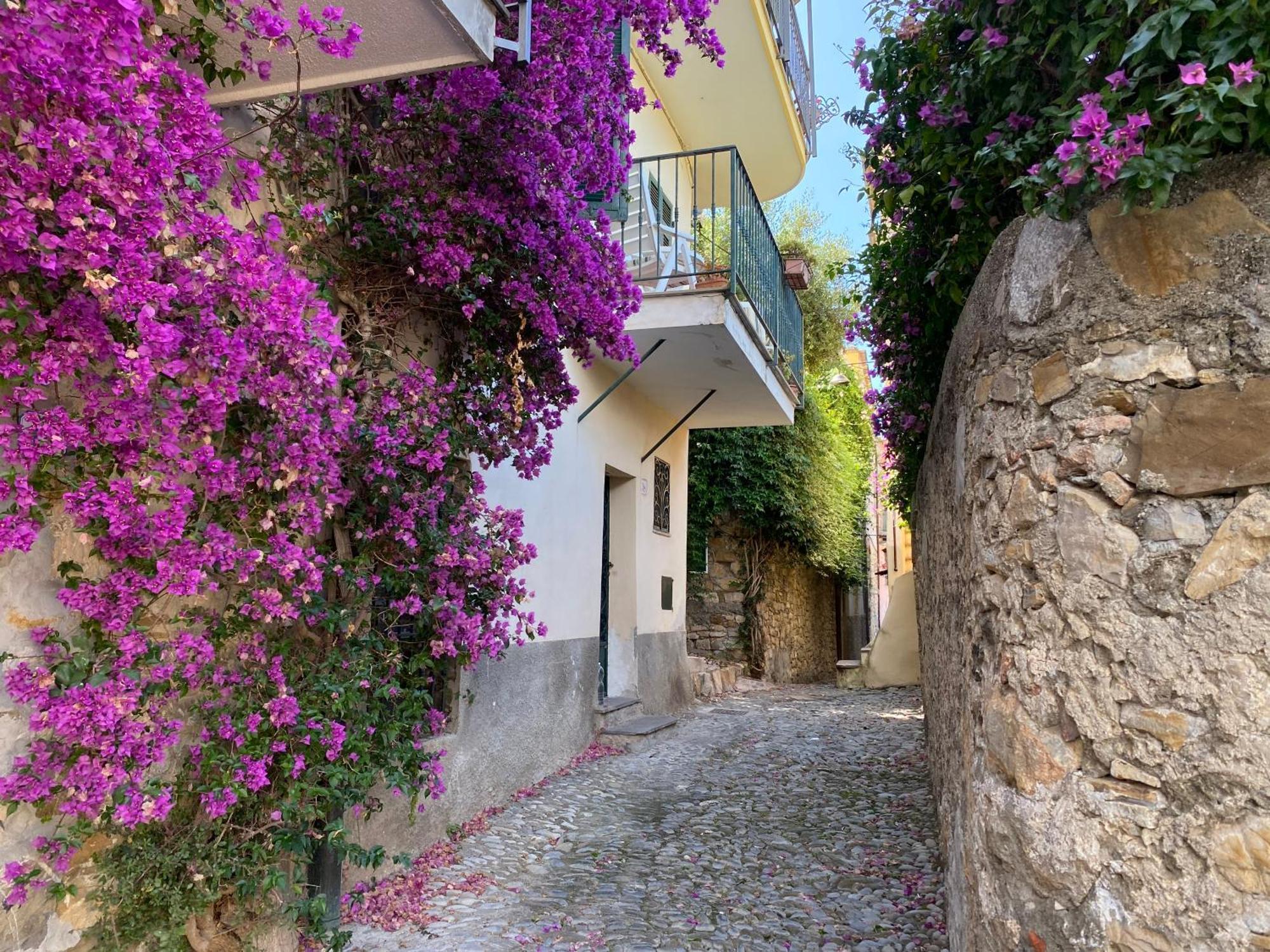 La Finestra Sul Borgo Acomodação com café da manhã Cervo Exterior foto